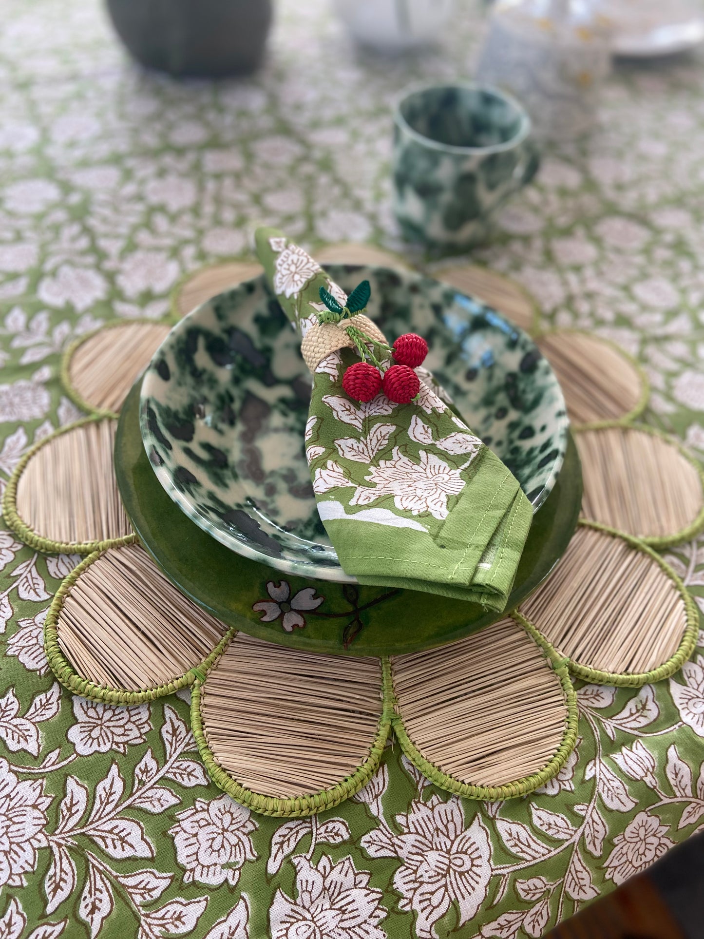 Charlie Placemat in Spring Green Set of Four